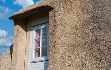 Fennington thatch roof disadvantages